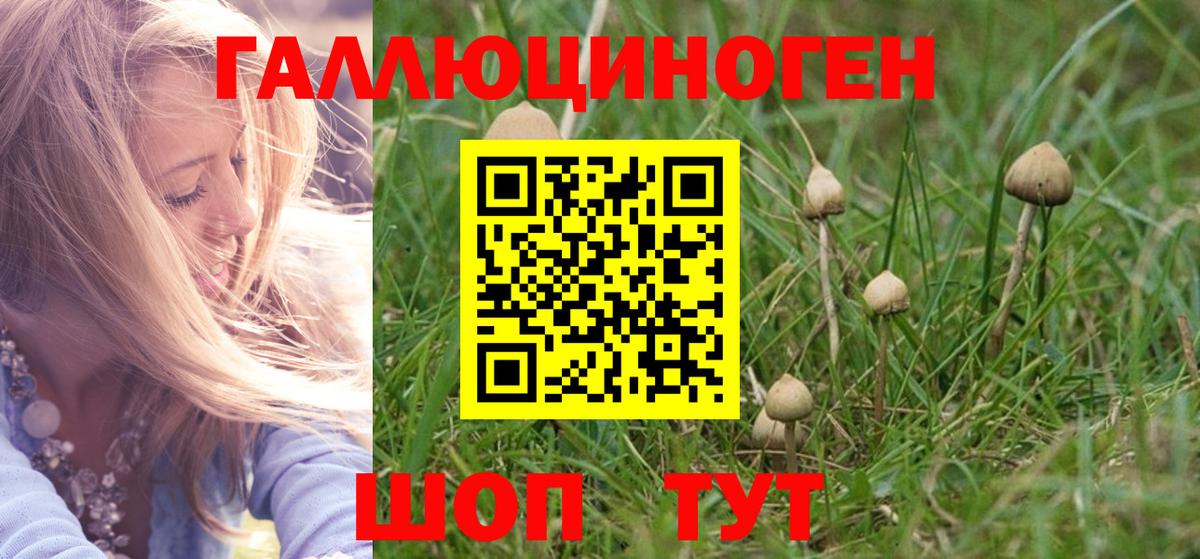 Псилоцибиновые грибы GOLDEN TEACHER  Вход с VPN  закладка  Орехово-Зуево 